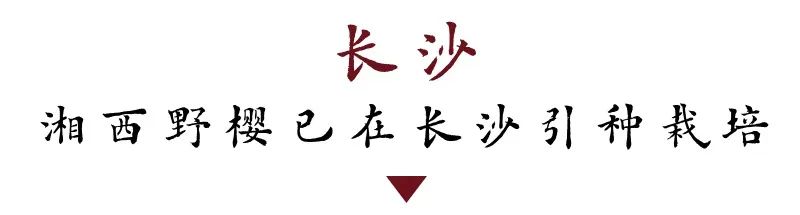 DƬ